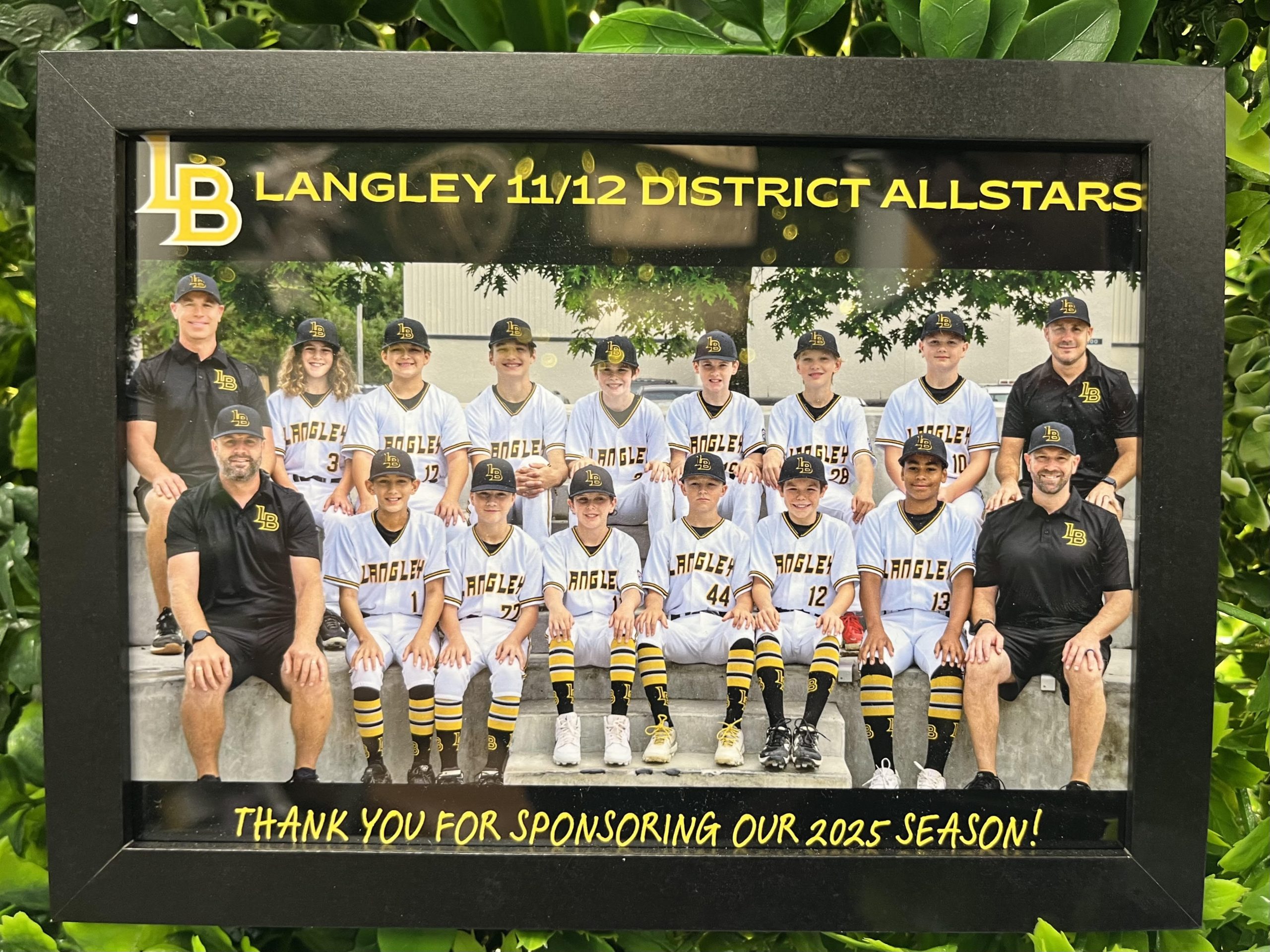 Langley Baseball Team 11/12 District Allstars| Willow Wellness Physio & Massage Clinic Langley